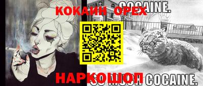 спиды Бердск