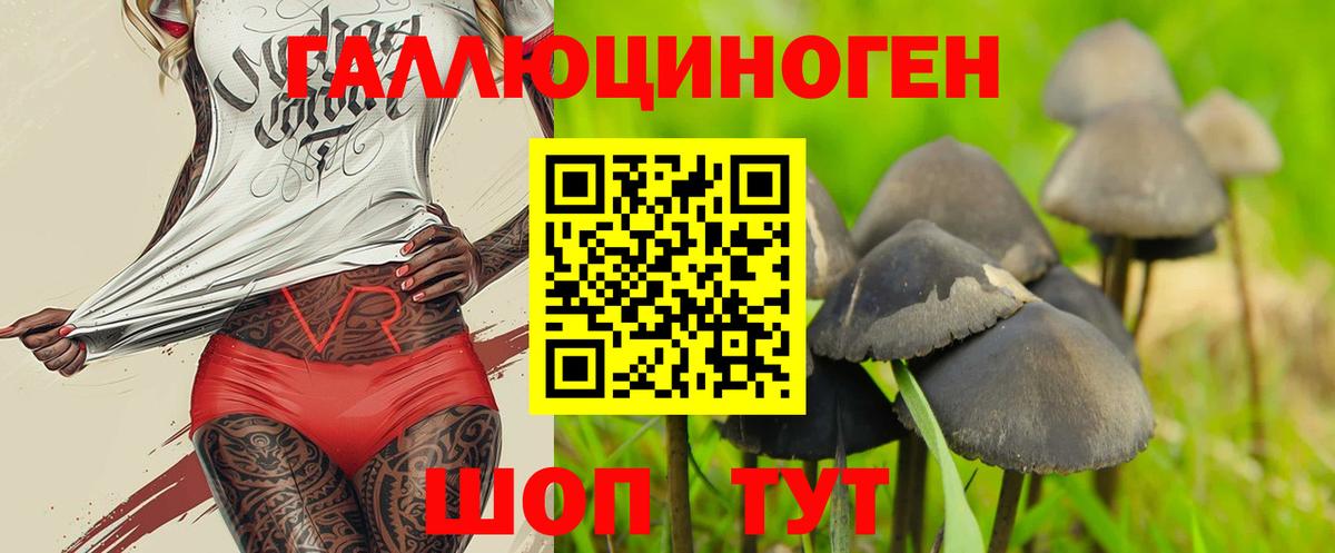 Губкинский  Галлюциногенные грибы мицелий  Вход с VPN  Галлюциногенные грибы мухоморы 